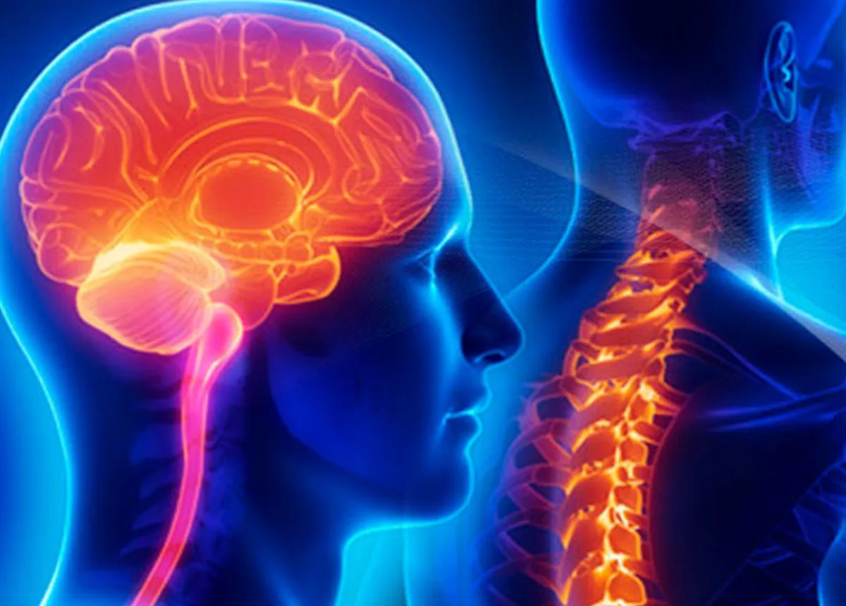 Brain and spinal injury cases